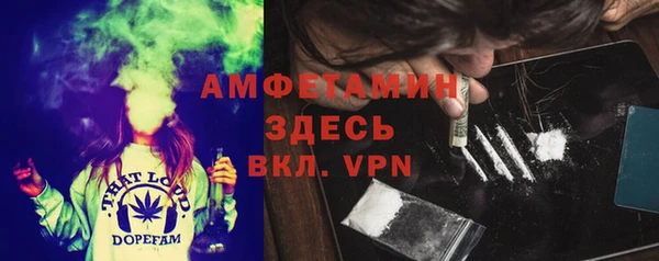 индика Гусь-Хрустальный