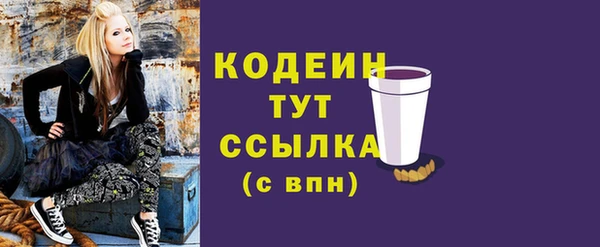 индика Гусь-Хрустальный