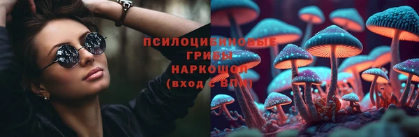мяу мяу мука Гусев