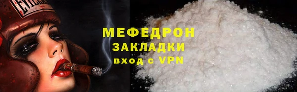 индика Гусь-Хрустальный