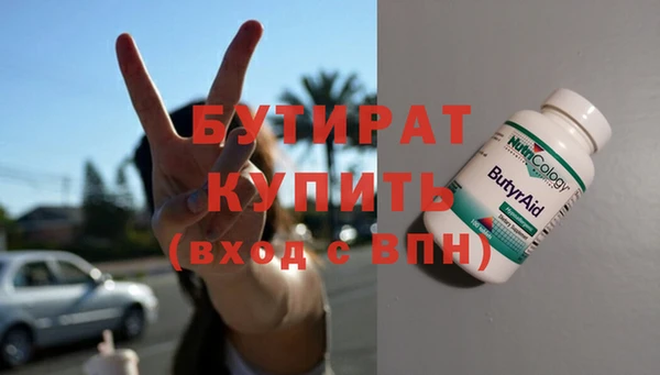 индика Гусь-Хрустальный