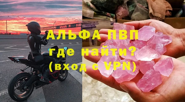 индика Гусь-Хрустальный