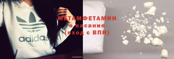 индика Гусь-Хрустальный