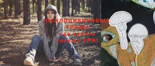 метамфетамин Гусиноозёрск