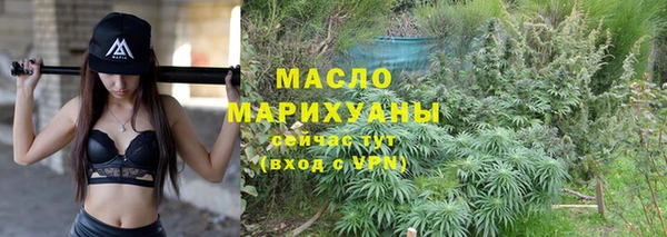 индика Гусь-Хрустальный