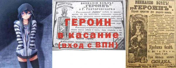 индика Гусь-Хрустальный