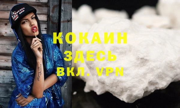 индика Гусь-Хрустальный
