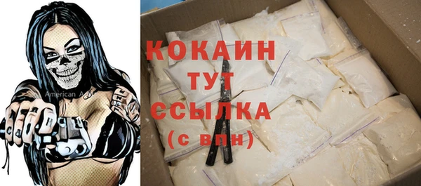 индика Гусь-Хрустальный