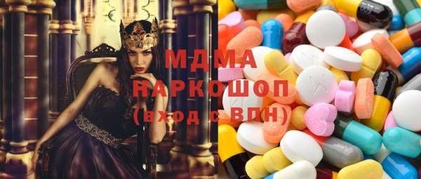 индика Гусь-Хрустальный