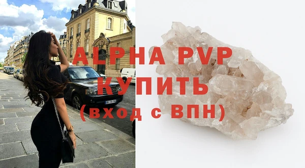 индика Гусь-Хрустальный